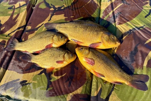rocklands mere crucian fishery