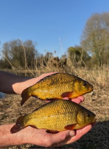 rocklands mere fishery crucians