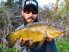 rocklands mere fishery tench