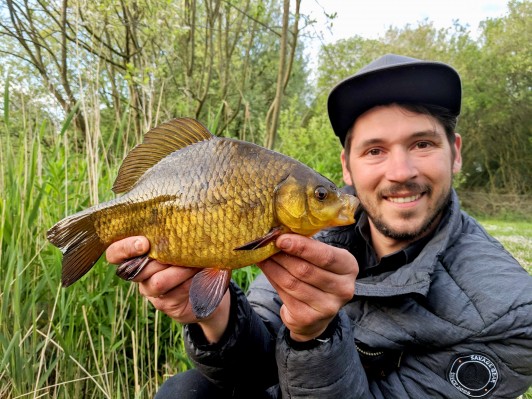 rocklands mere fishery crucian