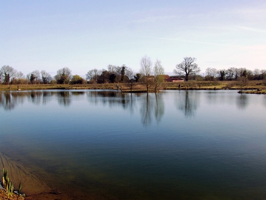 Lake bank
