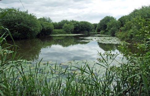 Rocklands Mere Fishery Crucian Fishing Norfolk