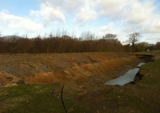 New Bank